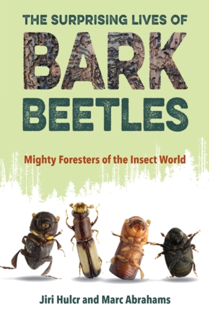 The Surprising Lives of Bark Beetles : Mighty Foresters of the Insect World, Paperback / softback Book