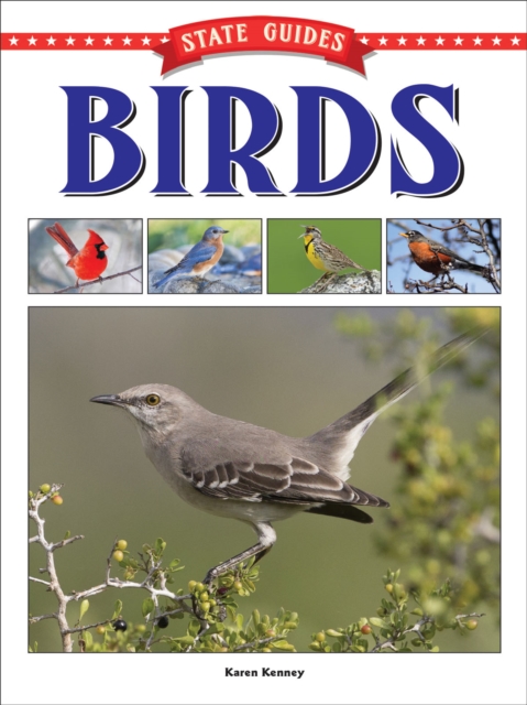 State Guides to Birds, PDF eBook