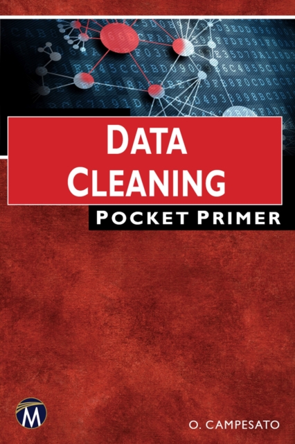 Data Cleaning Pocket Primer, EPUB eBook