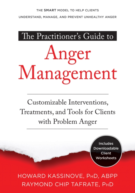 Practitioner's Guide to Anger Management, EPUB eBook