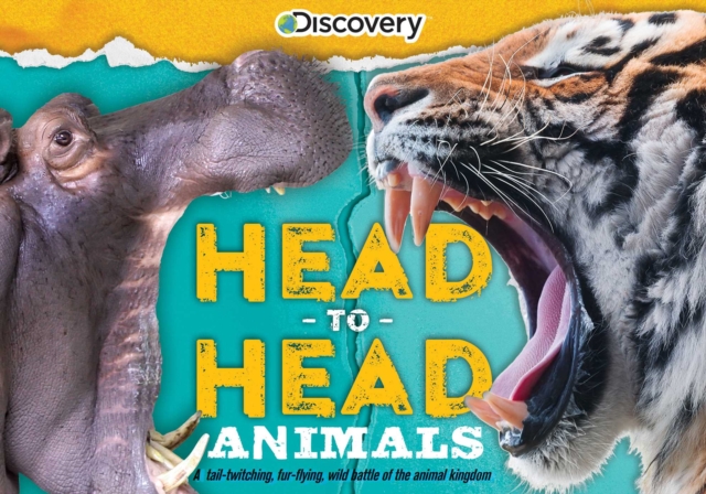 (club Only) Discovery: Head-To-Head: Animals : A Tail-Twitching, Fur-Flying Wild Battle of the Animal Kingdom!, Spiral bound Book