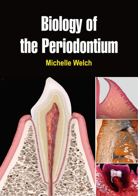 Biology of the Periodontium, EPUB eBook