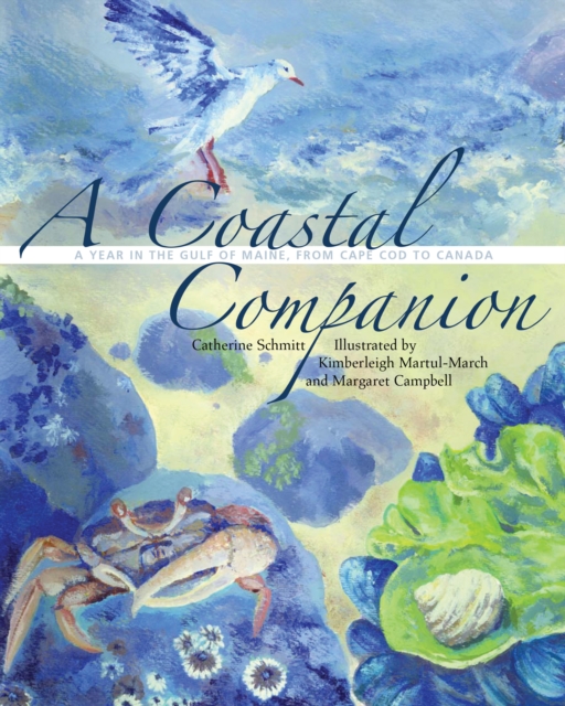 A Coastal Companion : A Year in the Gulf of Maine, from Cape Cod to Canada, Paperback / softback Book