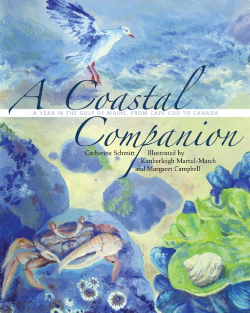 Coastal Companion : A Year in the Gulf of Maine, from Cape Cod to Canada, EPUB eBook