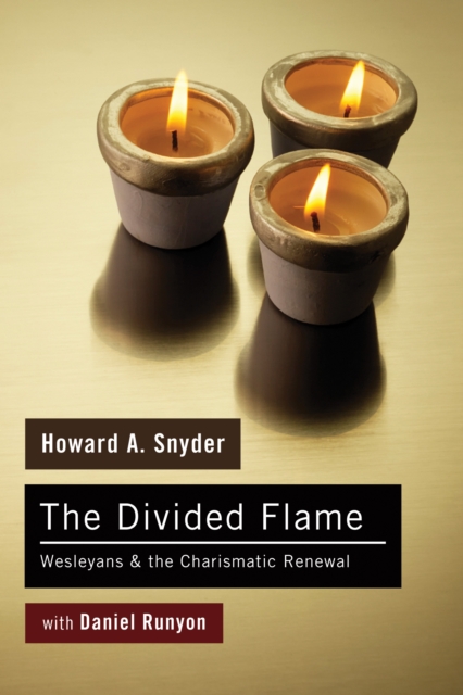 The Divided Flame : Wesleyans & The Charismatic Renewal, PDF eBook