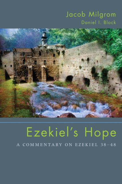 Ezekiel's Hope : A Commentary on Ezekiel 38-48, PDF eBook