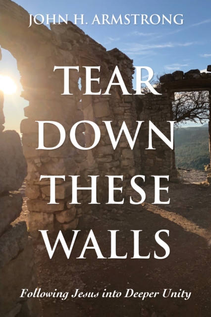 Tear Down These Walls : Following Jesus into Deeper Unity, EPUB eBook