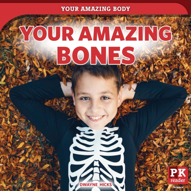 Your Amazing Bones, PDF eBook