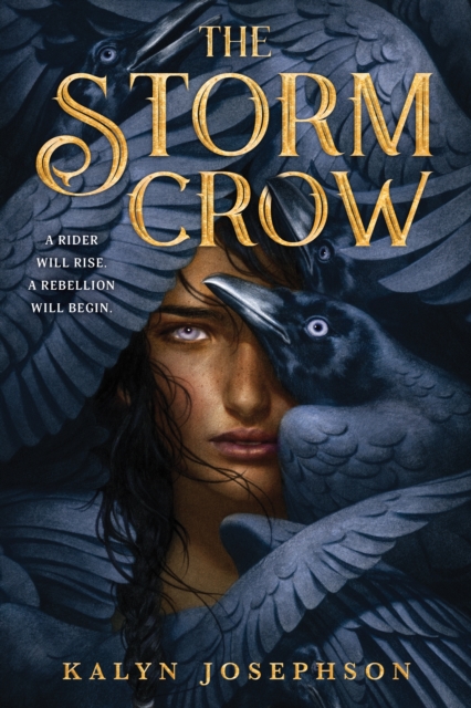 The Storm Crow, Paperback / softback Book