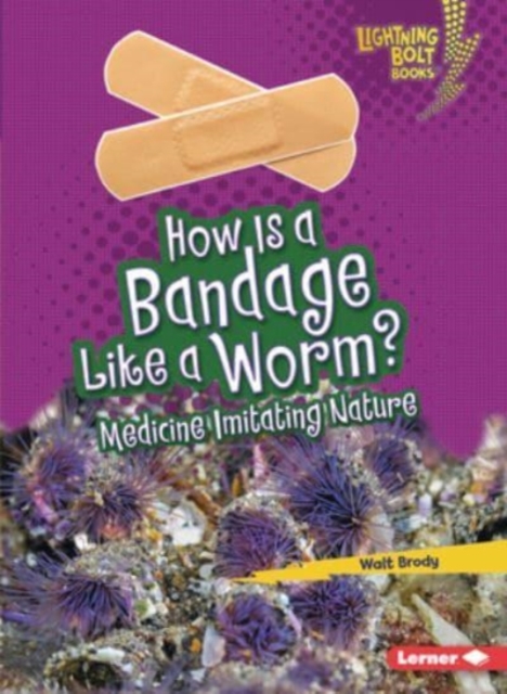 How Is a Bandage Like a Worm? : Medicine Imitating Nature, Paperback / softback Book