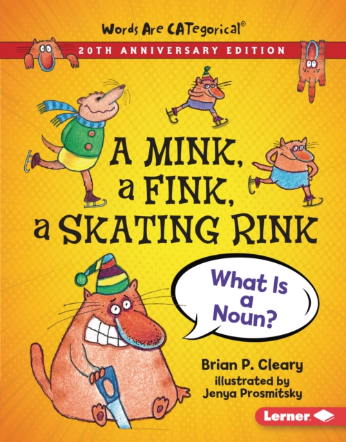 A Mink, a Fink, a Skating Rink, 20th Anniversary Edition : What Is a Noun?, EPUB eBook