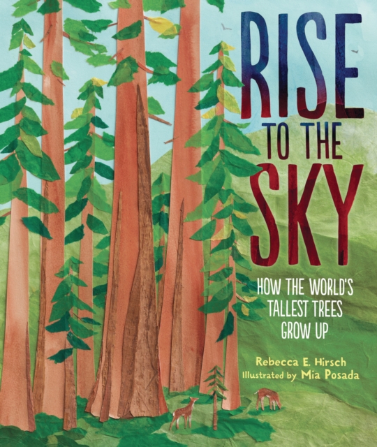 Rise to the Sky : How the World's Tallest Trees Grow Up, PDF eBook
