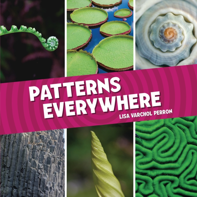Patterns Everywhere, PDF eBook