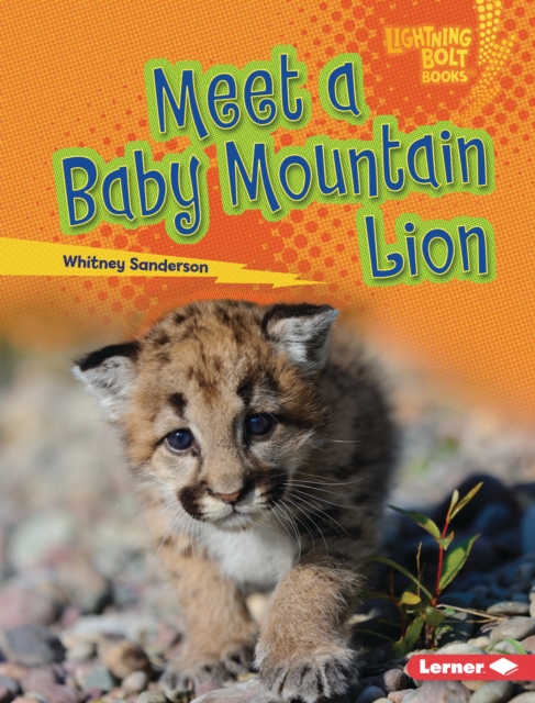 Meet a Baby Mountain Lion, EPUB eBook