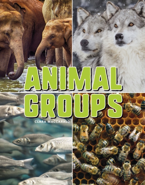 Animal Groups, EPUB eBook