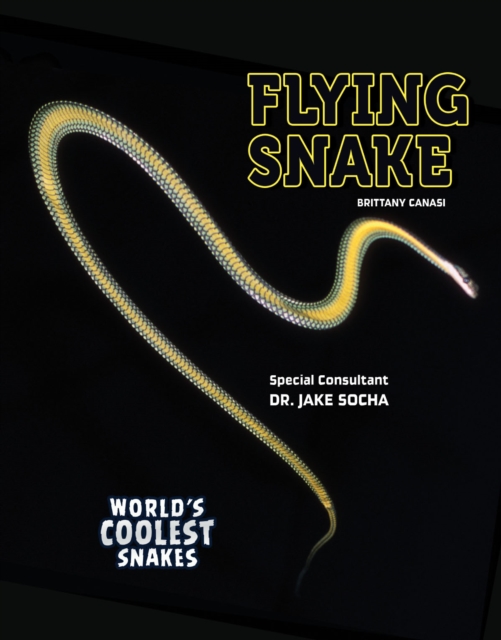 Flying Snake, EPUB eBook