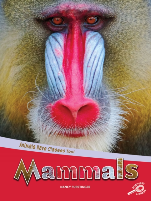 Animals Have Classes Too! Mammals, EPUB eBook