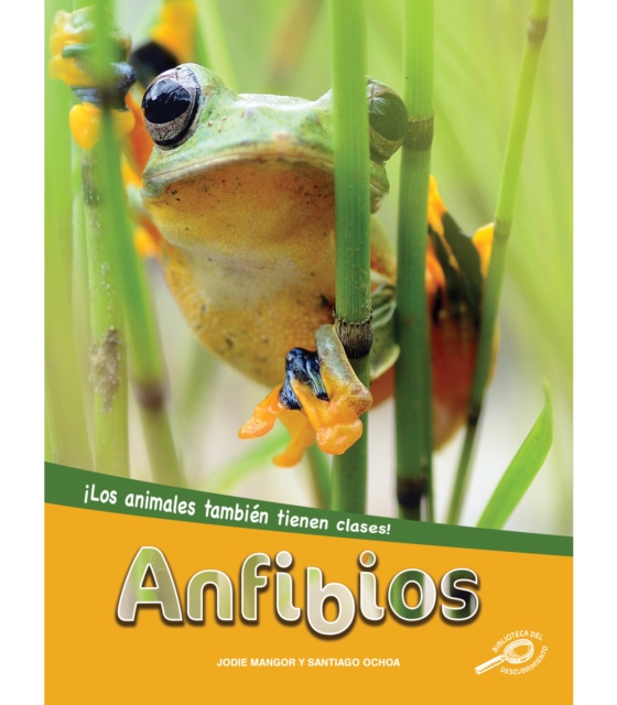 Anfibios : Amphibians, EPUB eBook