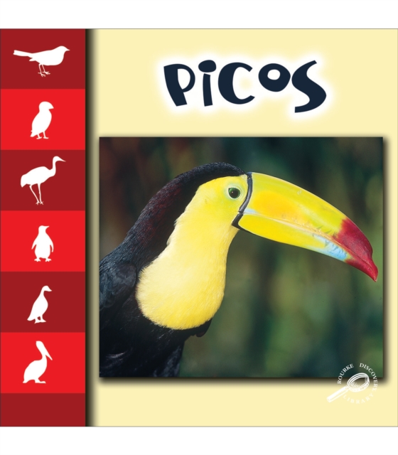 Picos : Beaks and Bills, PDF eBook