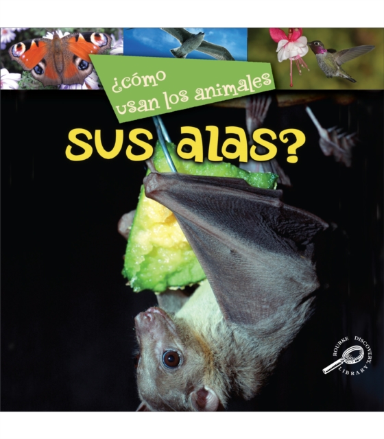 Como usan los animales... sus alas? : Their Wings?, PDF eBook