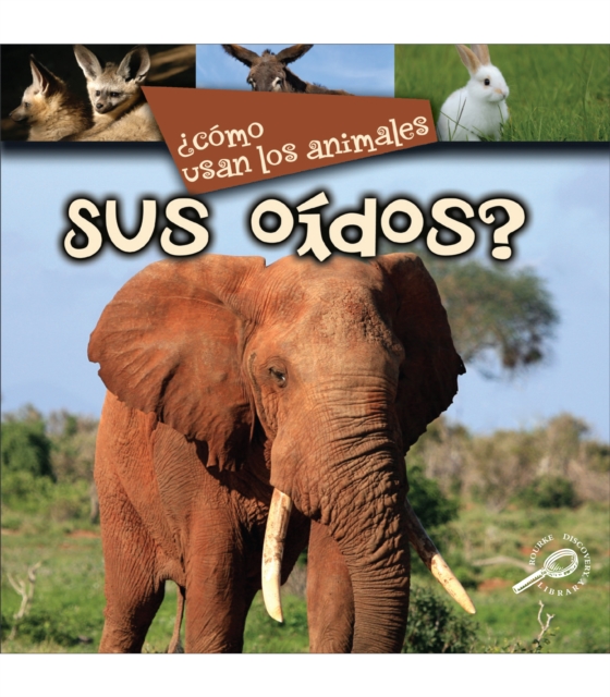 Como usan los animales... sus oidos? : Their Ears?, PDF eBook