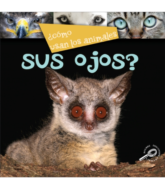 Como usan los animales... sus ojos? : Their Eyes?, PDF eBook