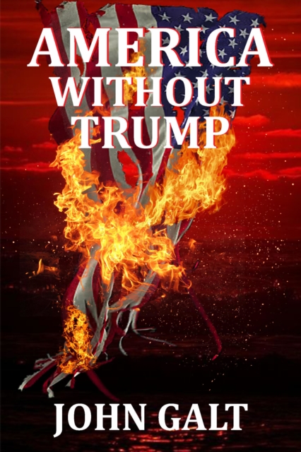 America Without Trump, EPUB eBook