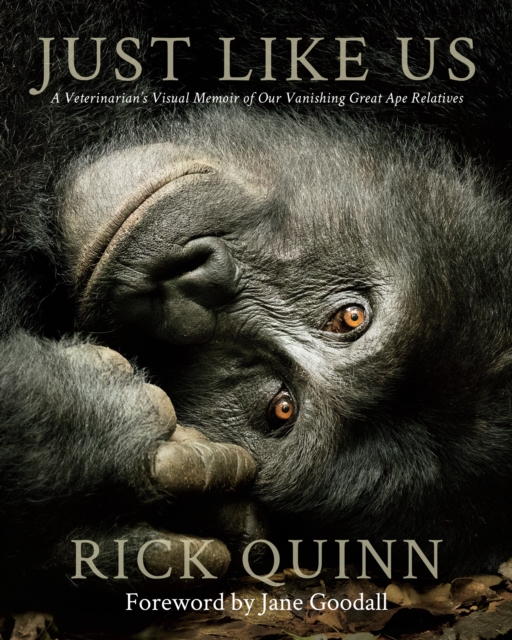 Just Like Us : A Veterinarian's Visual Memoir of Our Vanishing Great Ape Relatives, Hardback Book