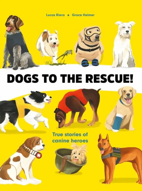 Dogs to the Rescue, Hardback Book