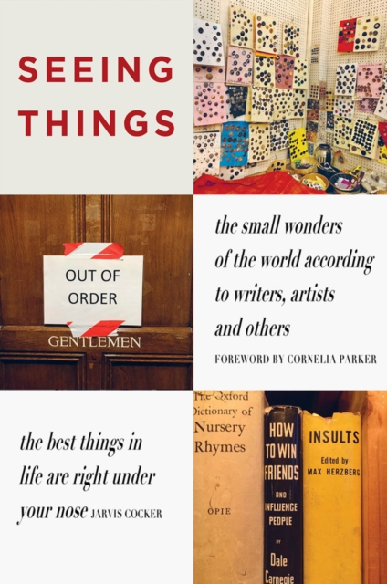 SEEING THINGS : the small wonders of the world according to writers, artists and others, Paperback / softback Book