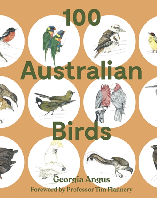 100 Australian Birds, Paperback / softback Book
