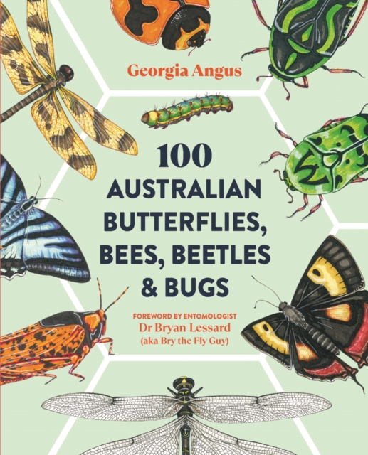 100 Australian Butterflies, Bees, Beetles & Bugs, Paperback / softback Book