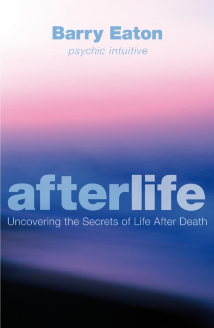Afterlife : Uncovering the Secrets of Life After Death, Paperback / softback Book