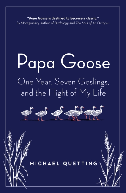 Papa Goose : One Year, Seven Goslings, and the Flight of My Life, EPUB eBook