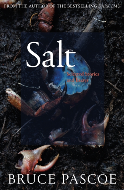 Salt : Selected Stories and Essays, EPUB eBook