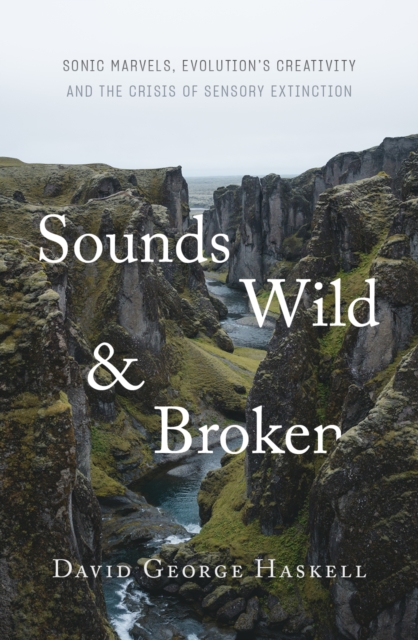 Sounds Wild and Broken : Sonic Marvels, Evolution's Creativity and the Crisis of Sensory Extinction, EPUB eBook