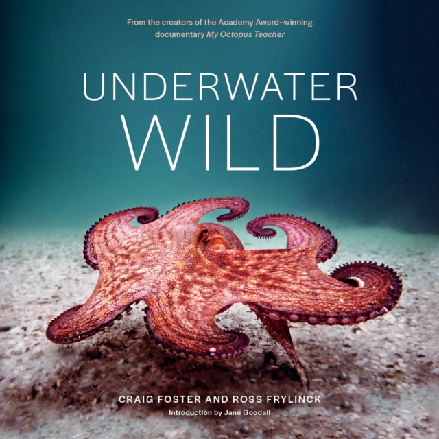 Underwater Wild : My Octopus Teacher's Extraordinary World, EPUB eBook