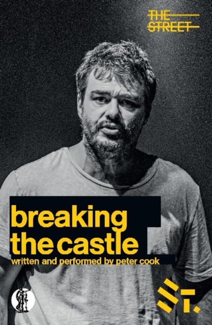 Breaking the Castle, Paperback / softback Book