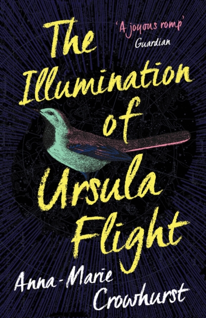 The Illumination of Ursula Flight, Paperback / softback Book