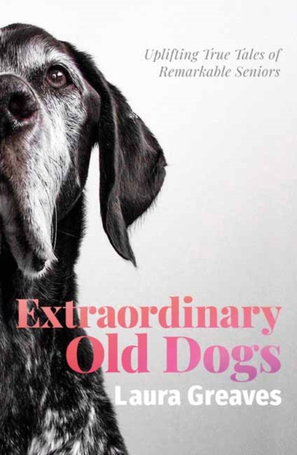 Extraordinary Old Dogs : Uplifting True Tales of Remarkable Seniors, Paperback / softback Book
