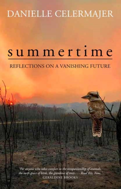 Summertime : Reflections on a Vanishing Future, Paperback / softback Book