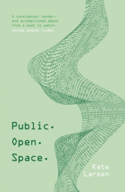 Public. Open. Space., Paperback / softback Book