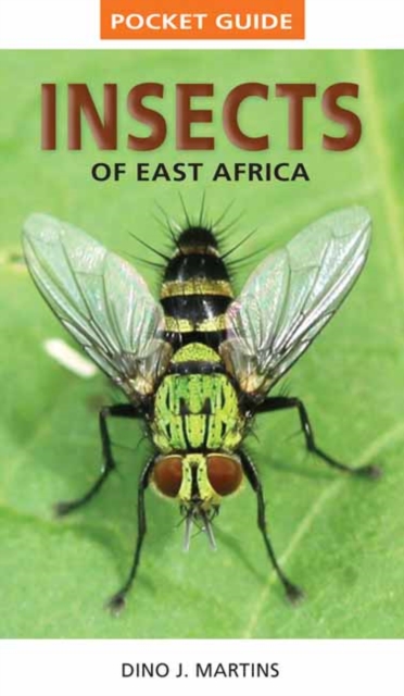 Pocket Guide Insects of East Africa, Paperback / softback Book