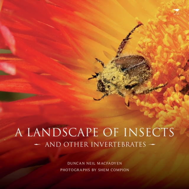 A landscape of insects and other invertebrates, Hardback Book