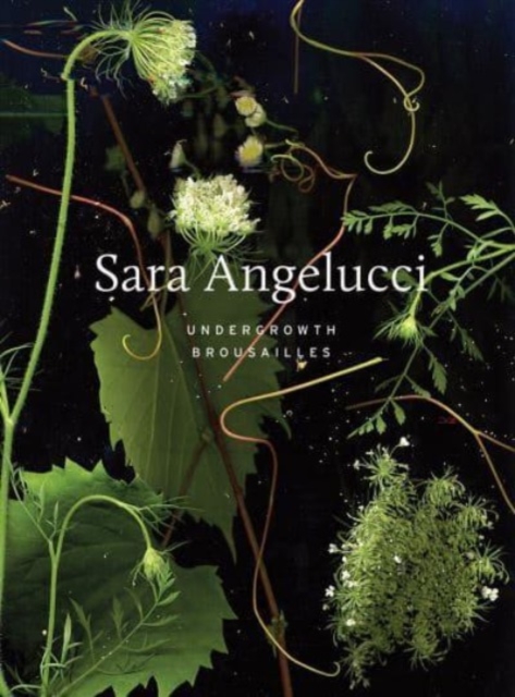 Sara Angelucci: Undergrowth / Brousailles, Hardback Book
