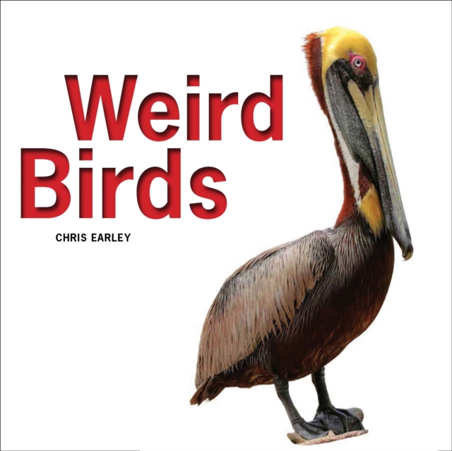 Weird Birds, Hardback Book