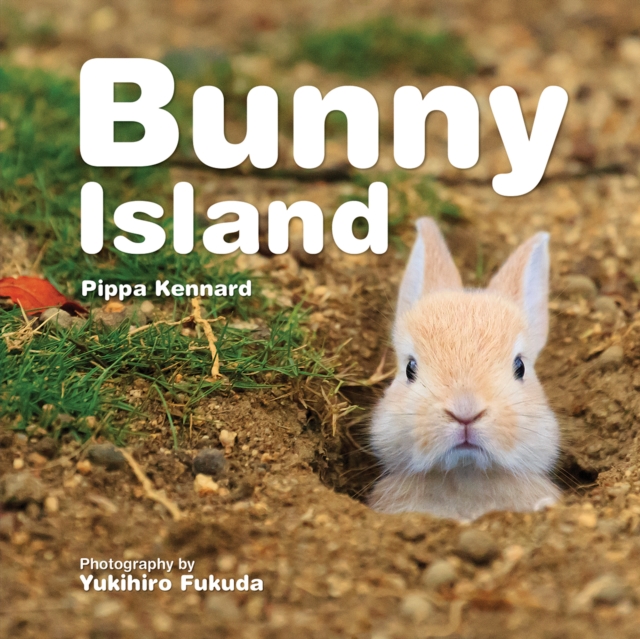 Bunny Island, Paperback / softback Book