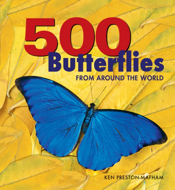 500 Butterflies: From around the World, Paperback / softback Book