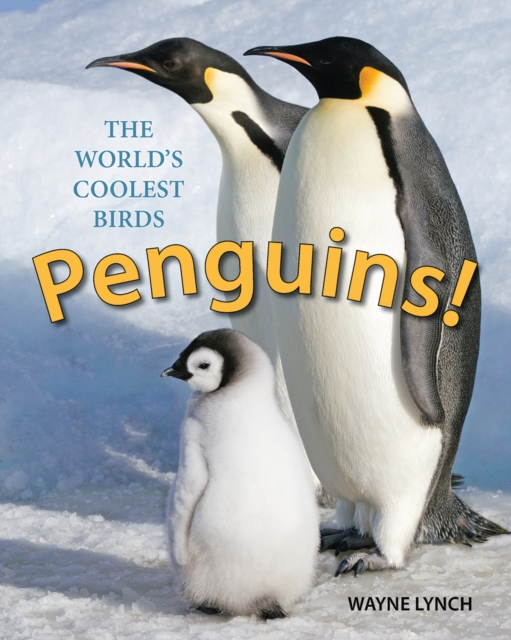 Penguins! The World's Coolest Birds, Hardback Book