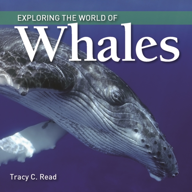 Exploring the World of Whales, Hardback Book